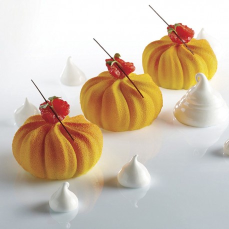 Silicone Mould Twister 40x30 - Pavoni