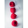 Silicone Mould Lampone 1.1 40x30 Fabrizio Fiorani - Pavoni