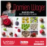3 days Recorded Online Master Class with Damien Wager