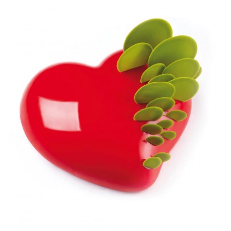 Molde silicona Passion - Pavoni