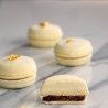 Kit Mini Macaron - Pavoni