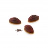 Silicone Mould Cacao 30 - Silikomart
