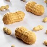 Peanut Silicone Mould 40x30 Fabrizio Fiorani - Pavoni