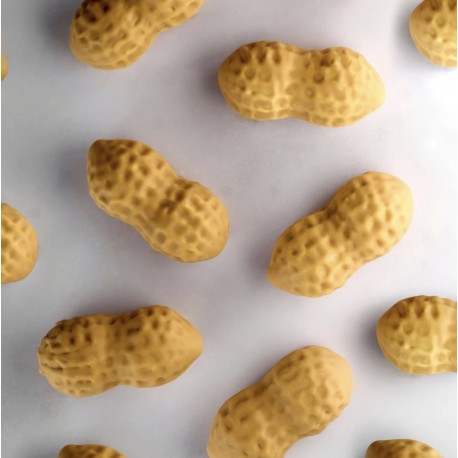 Molde silicona Peanut 30x17.5 Fabrizio Fiorani - Pavoni