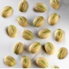 Pistachio Silicone Mould 30x17.5 Emmanuele Forcone - Pavoni