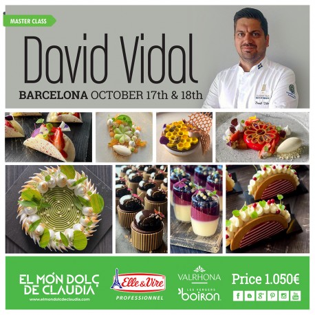 2 days Master Class 17 & 18/10/26 with David Vidal