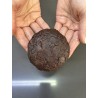 Digital Training Guide– 5 Professional Cookie Recipes (part 1)