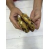 Formación Digital - 5 Recetas Profesionales de Cookies (parte 2)