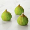 Fig Silicone Mould 40x30 Emmanuele Forcone - Pavoni