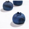 Molde silicona Blueberry 40x30 Fabrizio Fiorani - Pavoni