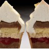 Gelato Silicone Mould 300x175 by Fabrizio Fiorani - Pavoni