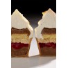 Gelato Silicone Mould 300x175 by Fabrizio Fiorani - Pavoni