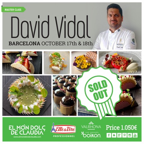 2 days Master Class 17 & 18/10/26 with David Vidal